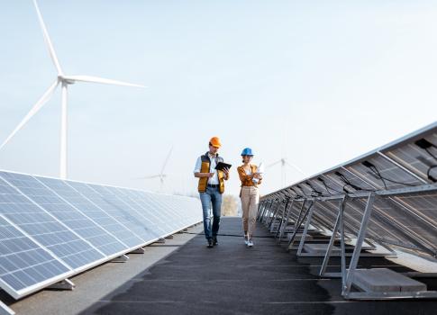 engineers walking through solar farm