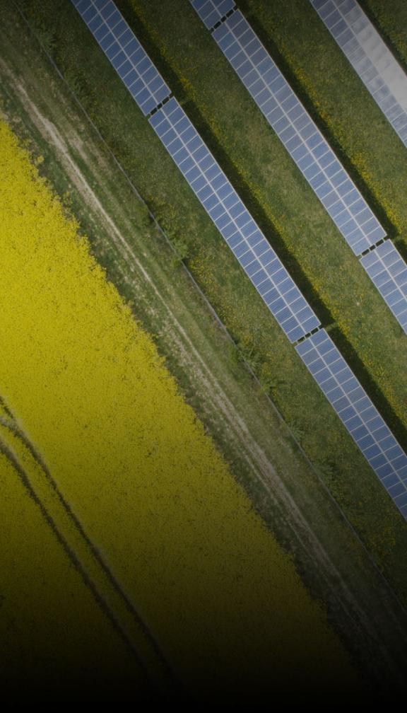An overhead view of a verdant field and alternative energy infrastructure.